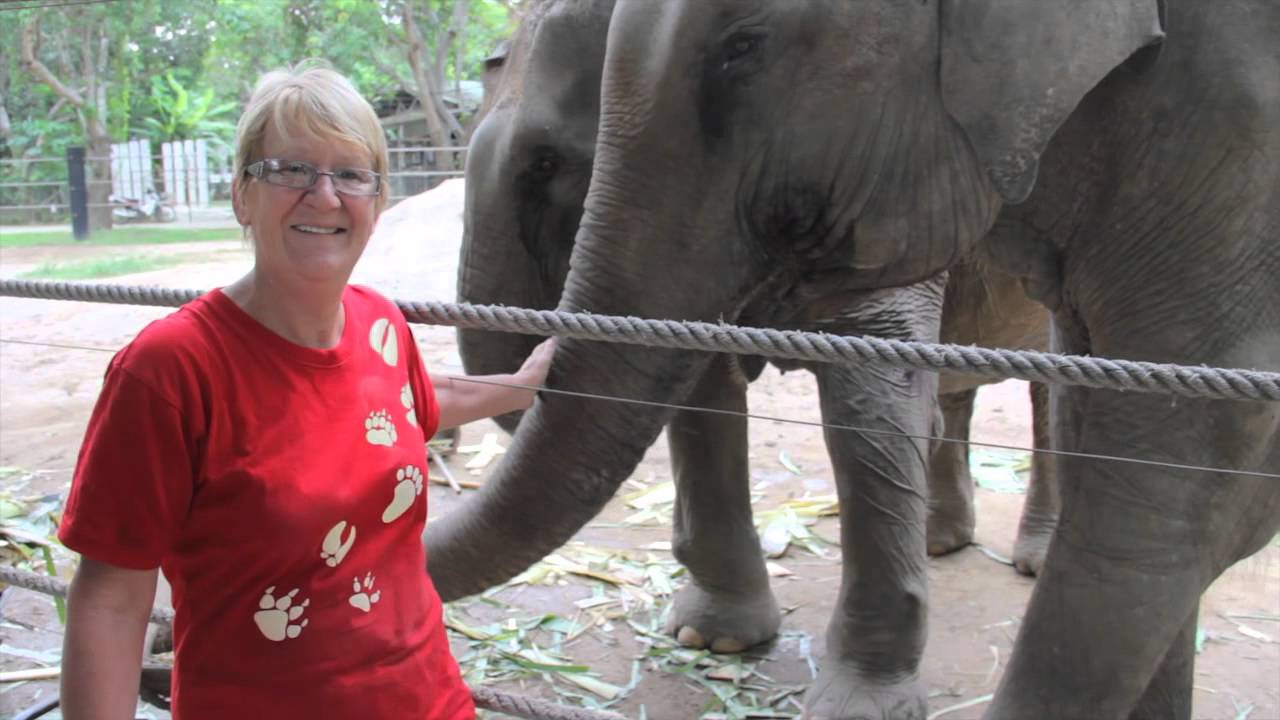 WFFT promo video for volunteers