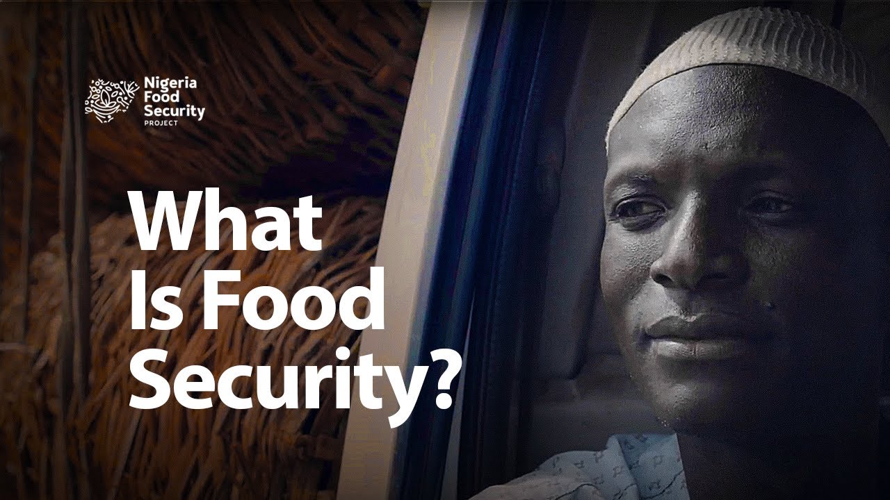 What is the Nigeria Food Security Project?
