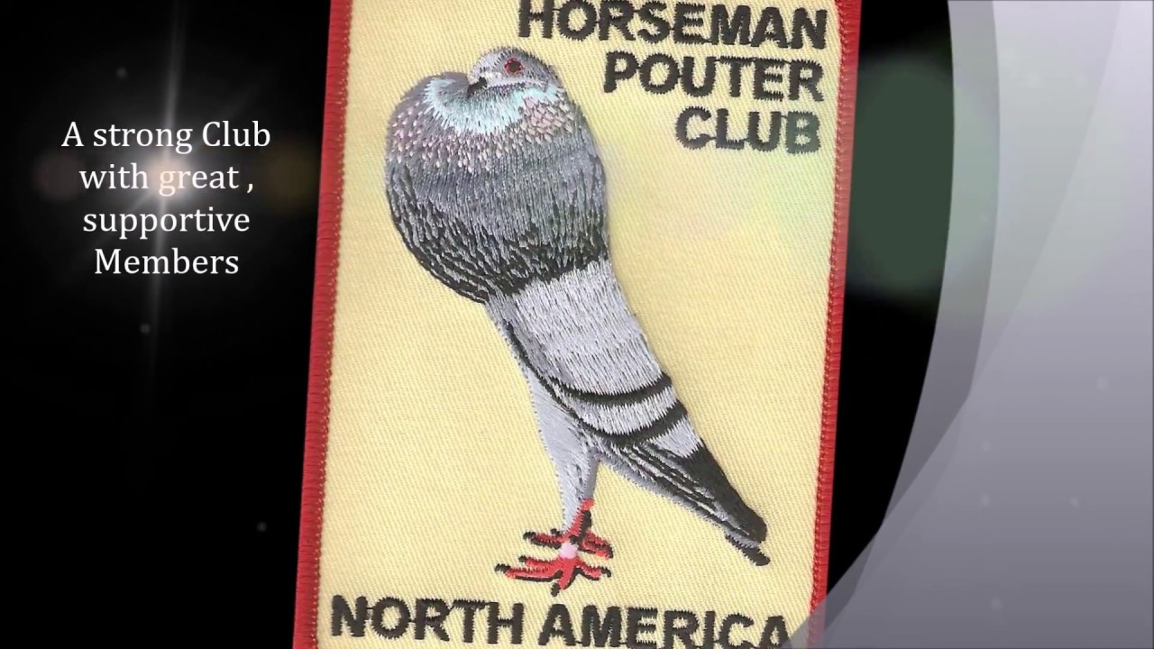 Horseman Pouters
