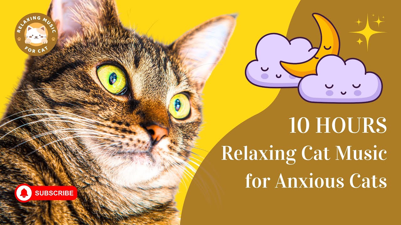 Relaxing Cat Music for Anxious Cats 10 Hours 🐾 Relaxing Music For Cat
