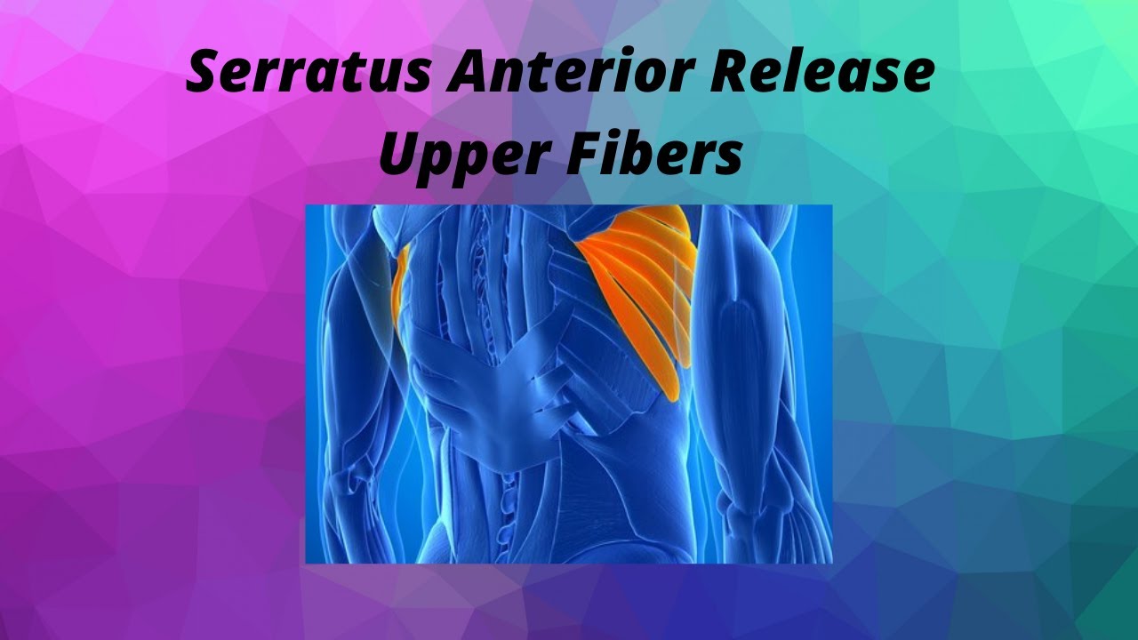Serratus anterior release upper fibers