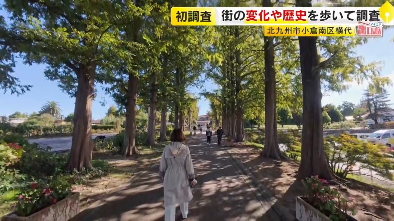「小倉南区横代」を調査　美しい並木道を抜けると…ナゾの巨大施設　たくさんの動物たちもいました【マイニチ出口調査】／ （2025/11/07  OA）