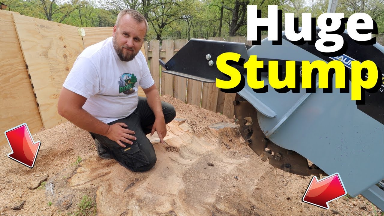 Baumalight 3P24 Grinding a Massive Stump - This one Took 2 Days