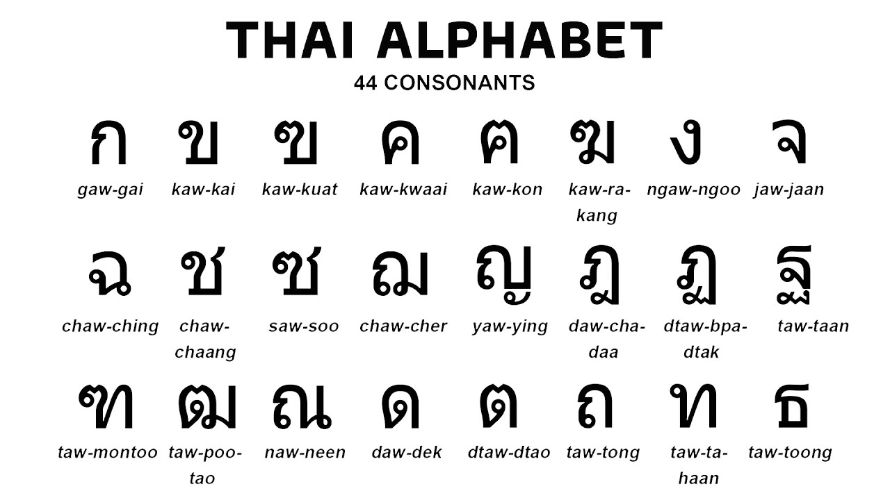 🔡 Alphabet Lore Bands | Thai version ♬