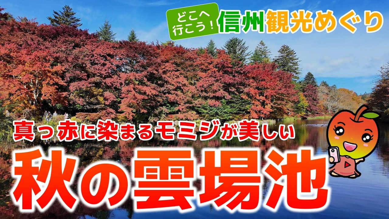【長野観光　軽井沢町】真っ赤に染まるモミジが美しい秋の雲場池の景色