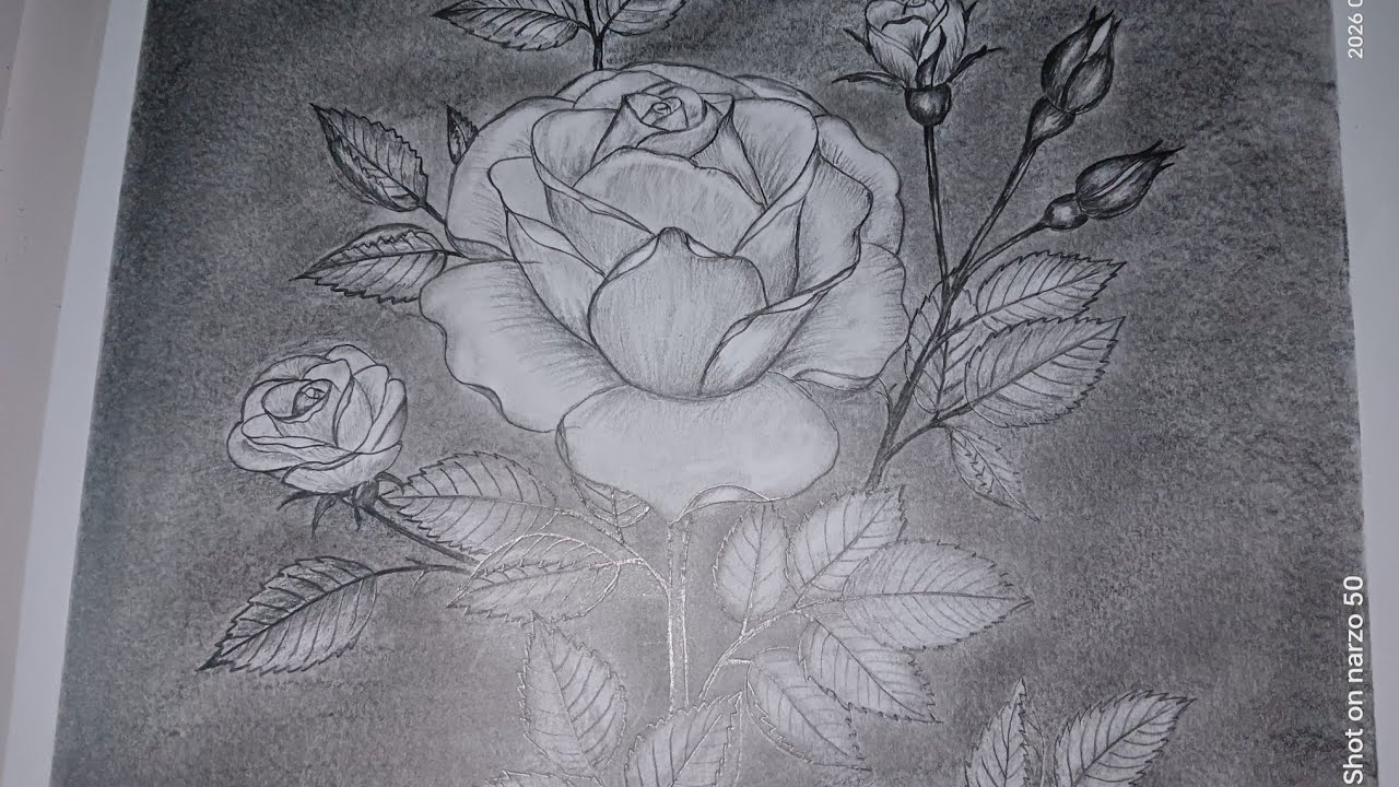 Beautiful Rose Flower Drawing 🌹 | Step by Step Art Video