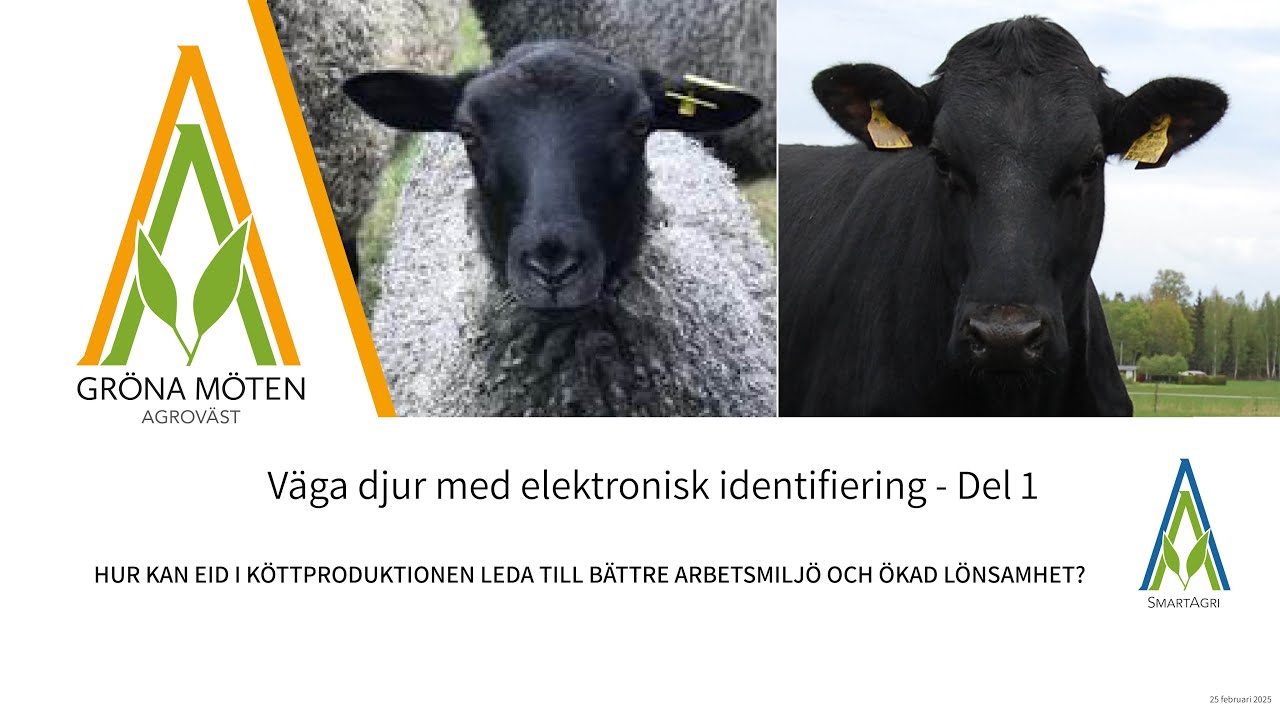 Väga djur med elektronisk identifiering - Del 1