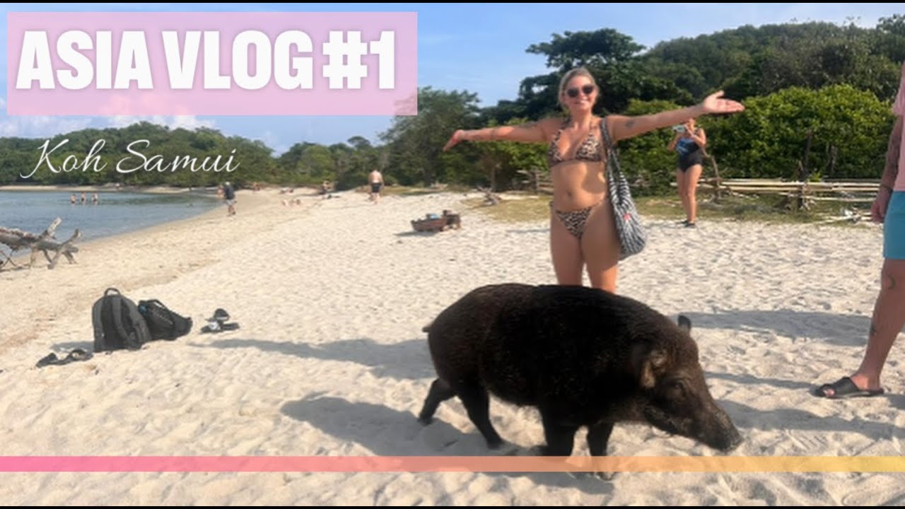 Asia Vlog 1: Pig Island, Snorkling, Drunk Tattoos