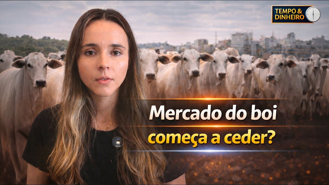 Boi gordo patina no final da primeira quinzena: pressão a vista? Isabella Camargo comenta