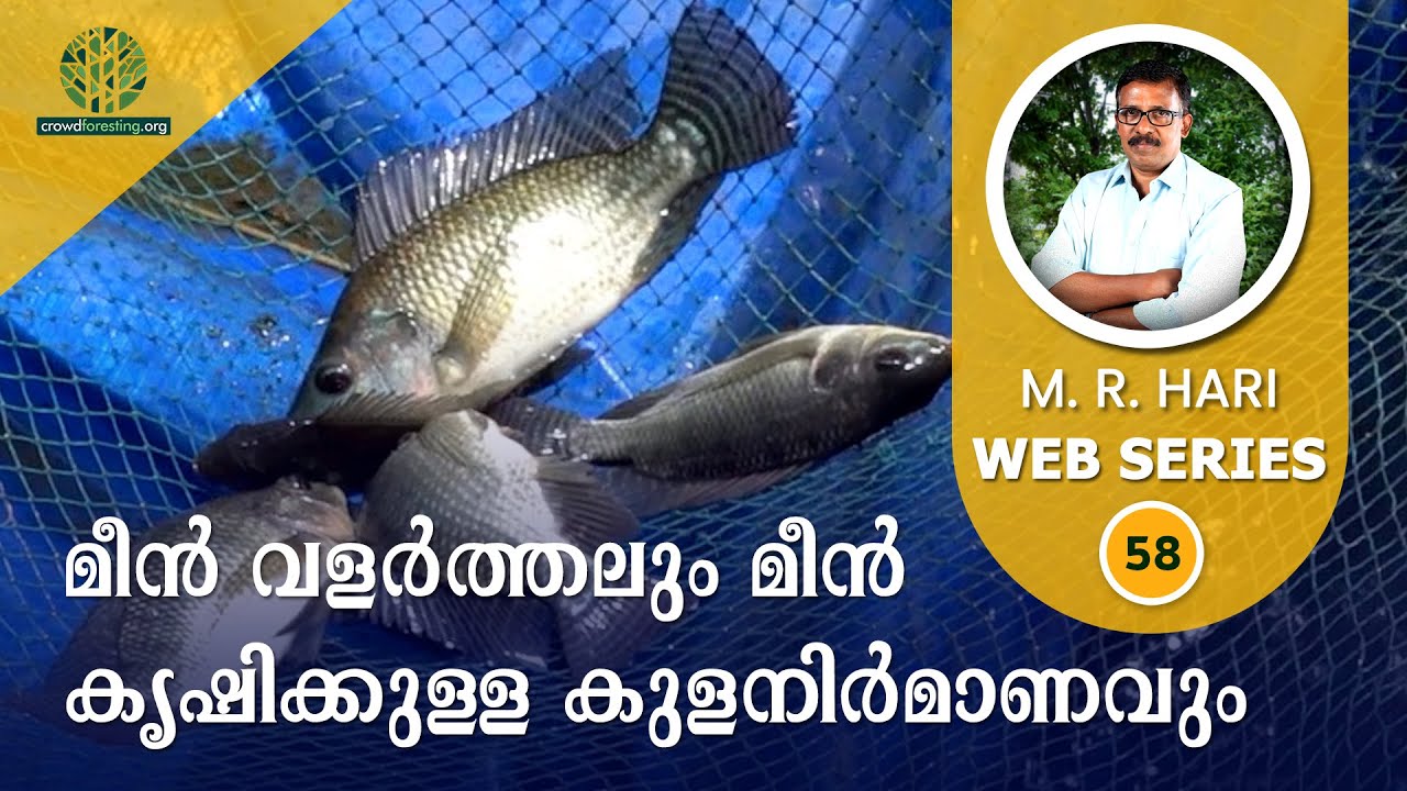 മീൻ വളർത്തലും മീൻ കൃഷിക്കുള്ള കുളനിർമാണവും- ഭാഗം 1 | Fish Farming, Fish Tank Construction & Miyawaki