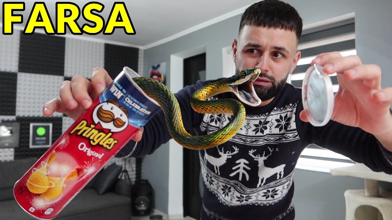 AM BAGAT UN ȘARPE IN CUTIA DE PRINGLES *Prank* 😂 😂 😂