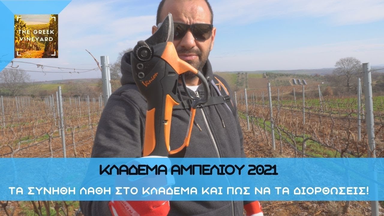 Κλαδεμα Αμπελιου | ΠΡΟΛΑΒΕ Τα Λάθη Και Κλάδεψε Σαν Επαγγελματίας!