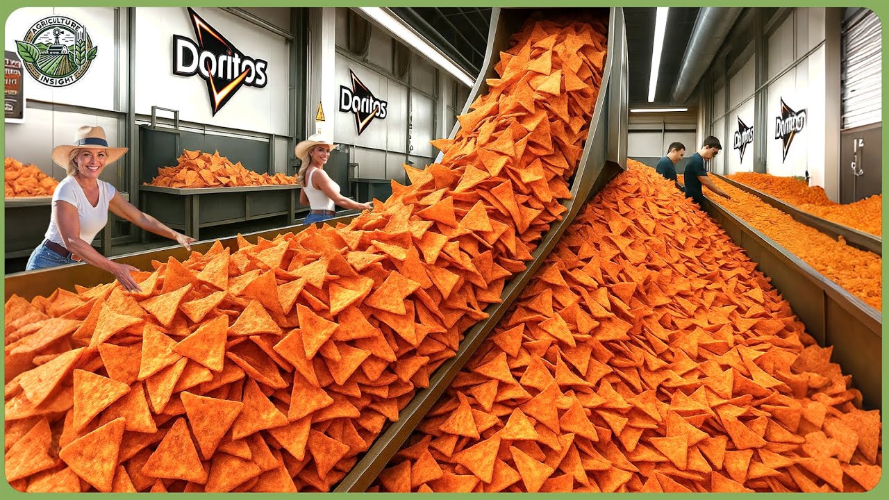 How Doritos Are Made &ndash; Amazing Billions of Cheese Nachos Processed in Modern Factory