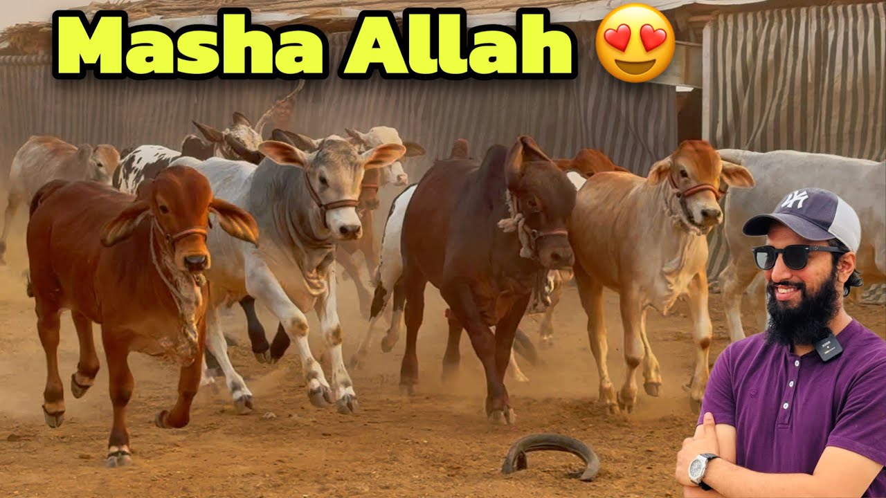 Is Tarhan Tw Kabhi Nhi Kya Tha Aj Tk 😱😍🔥 | AR Maani