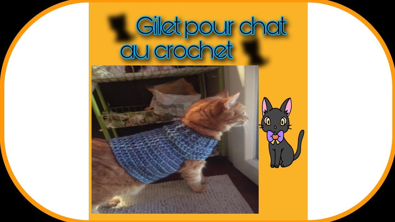 🐈Gilet pour chat, petit chien...au crochet 🐈