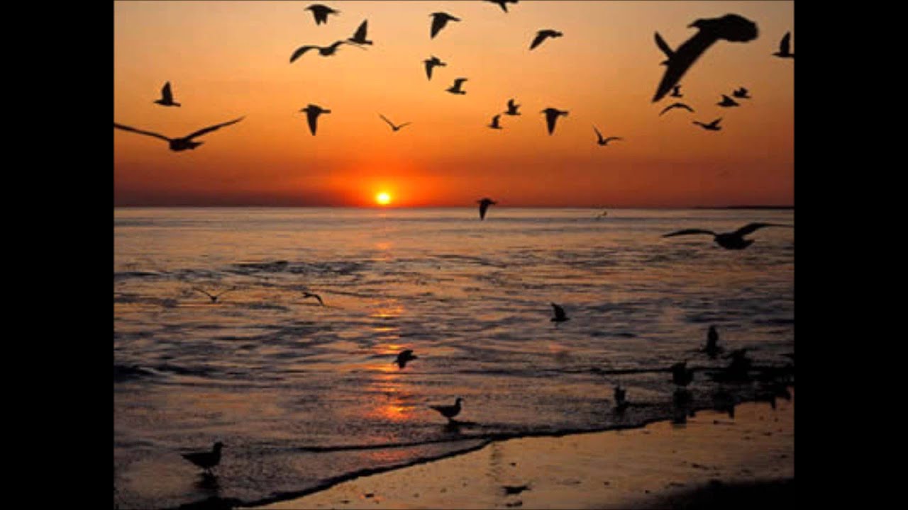 Marcus Viana - Sublime