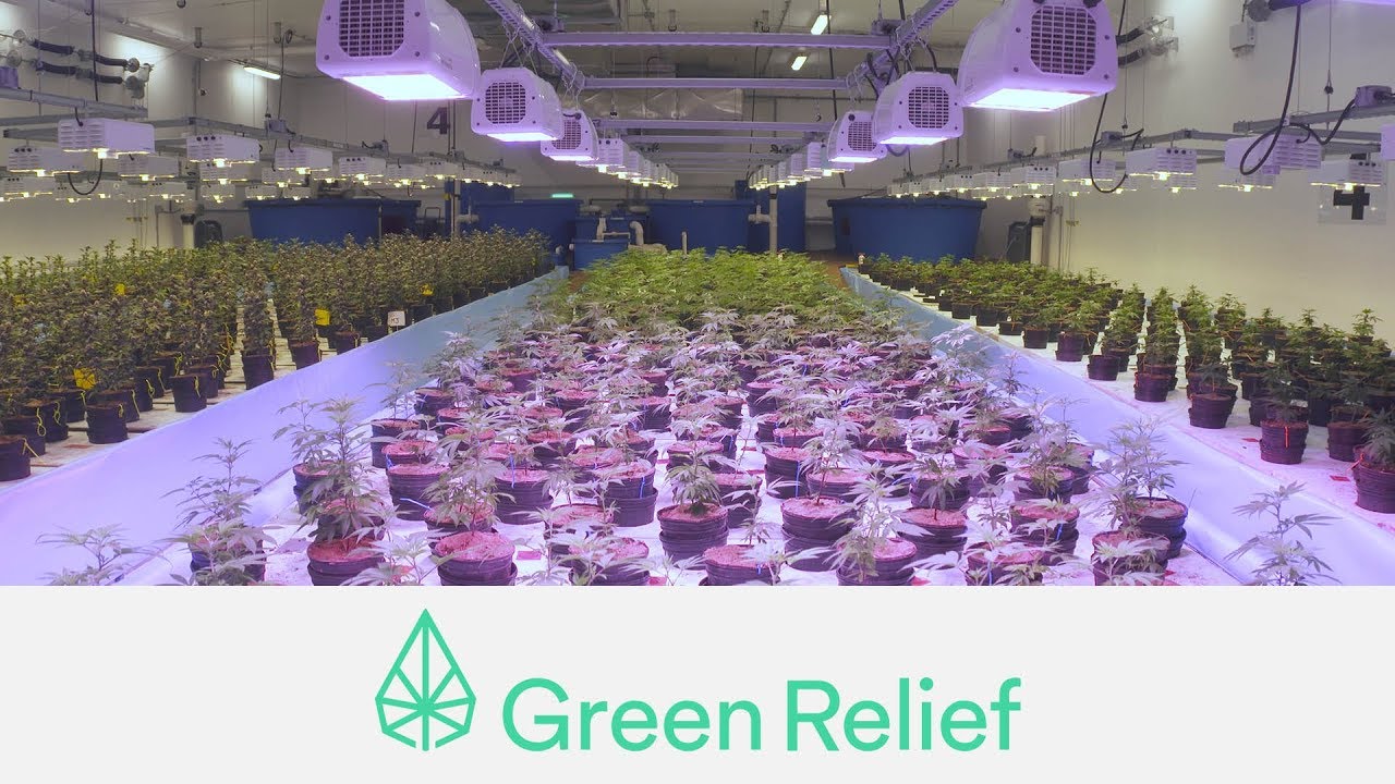 Canadian Cannabis Licensed Producer Tours - Green Relief