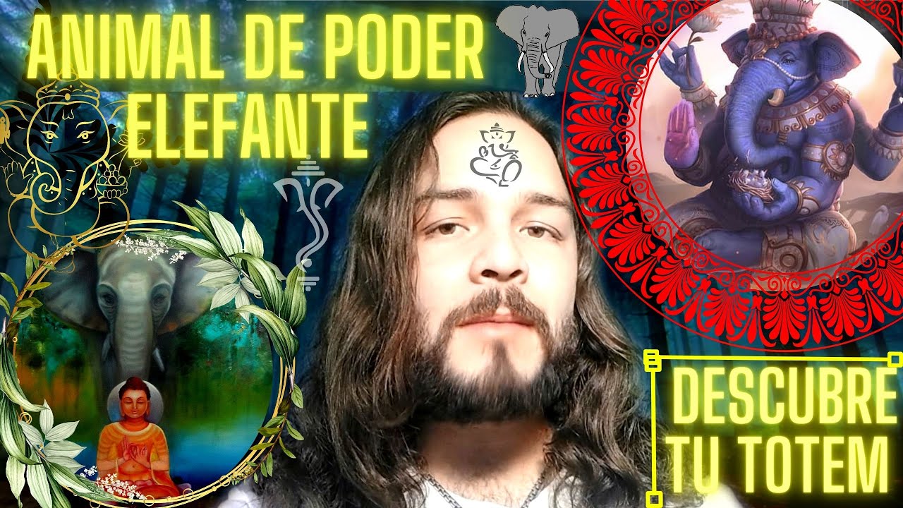 Animal de poder Elefante su mensaje y su significado espiritual