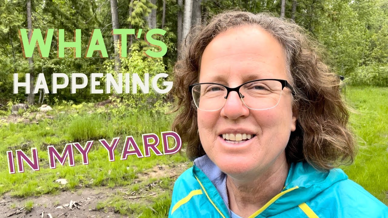 Zone 7 Garden and Yard Tour &mdash; My Oyster Mushrooms are Fruiting and My Wildflowers are Prolific