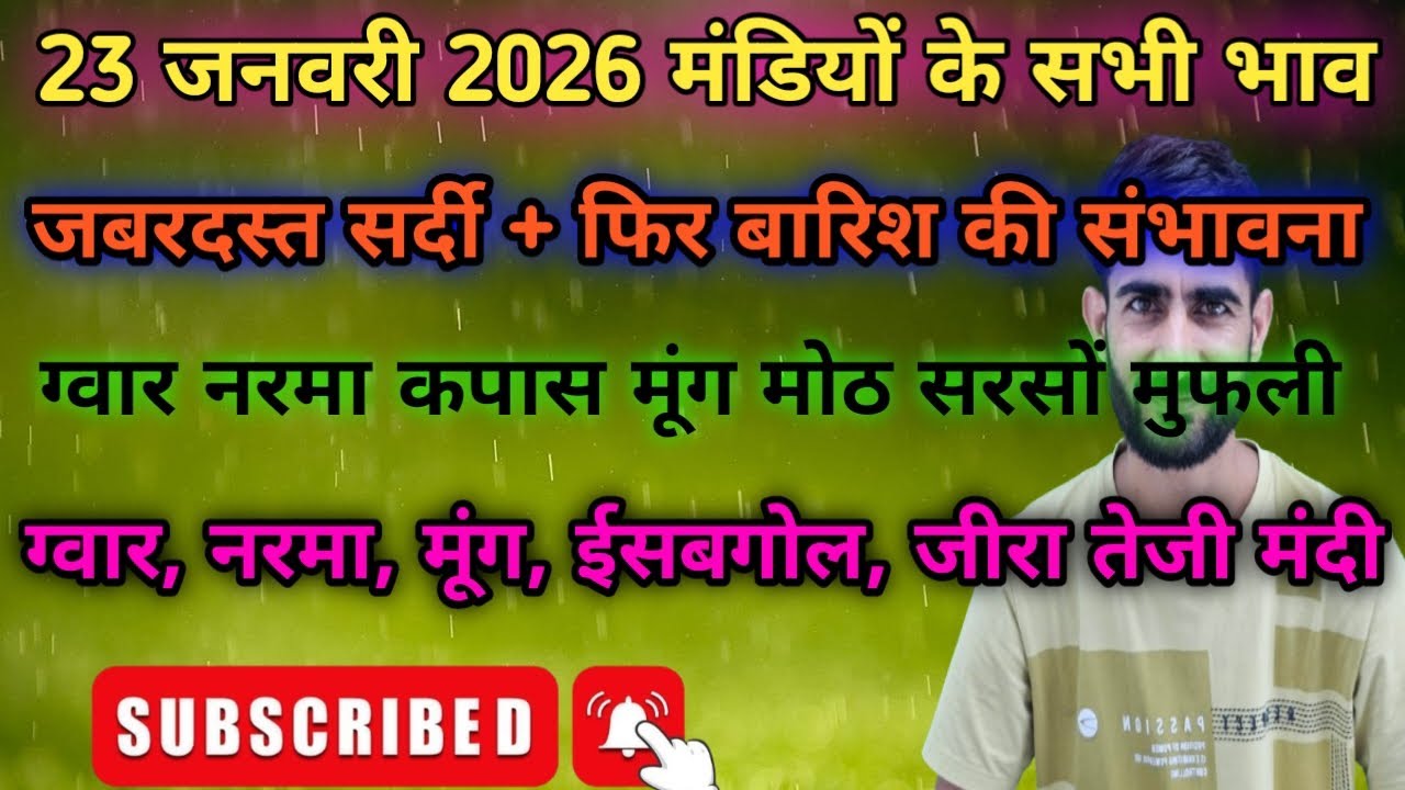 फिर बारिश की संभावना । ग्वार कब होगा 6000 | नरमा जीरा इसबगोल खल मूंग तेजी मंदी रिपोर्ट । Mandi Bhav