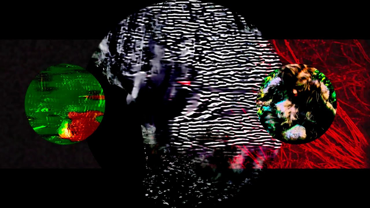 IMPATV 252 - LOCEAN - SPRUCCE BINGSTEEN - OFFICIAL VIDEO