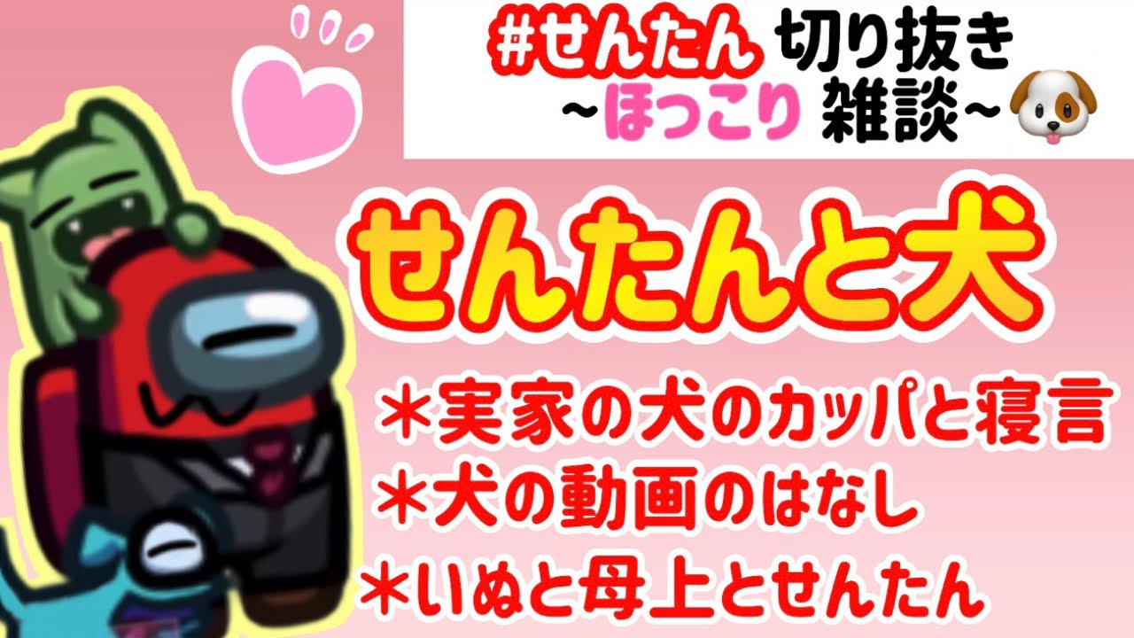 【雑談切り抜き 】せんたんと犬のほっこり雑談！【先端恐怖症切り抜き 】