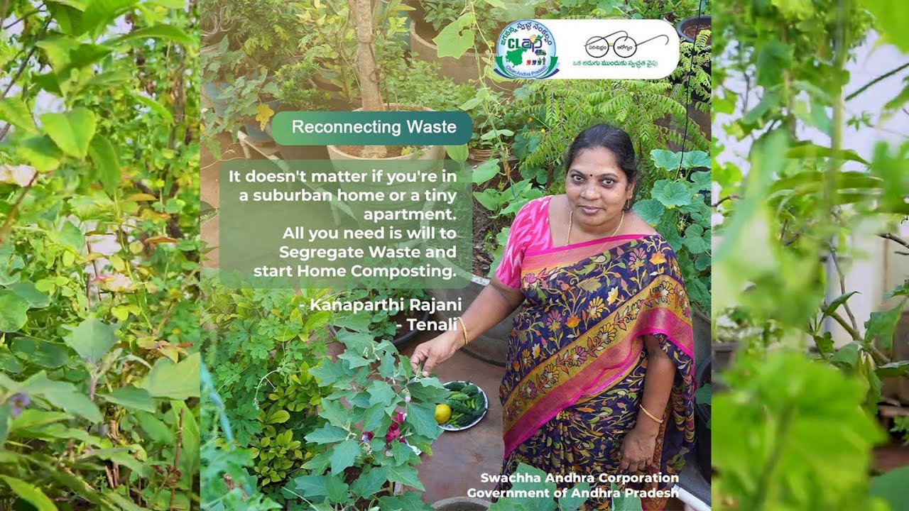 Terrace garden and home composting in Tenali | CLEAN Andhra Pradesh (CLAP) | Swachha Andhra