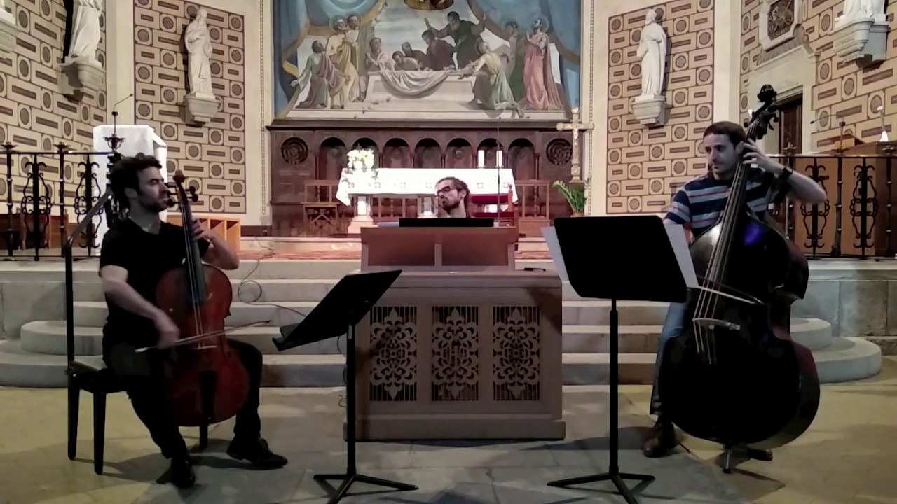 J.H. Schmelzer - Ciaccona in A Major - Cello Piccolo
