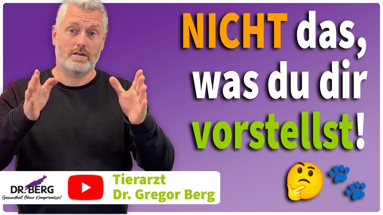 „Vom Tierarzt entwickelt“ – was bedeutet das? 🤔 I Tierarzt Dr. Gregor Berg