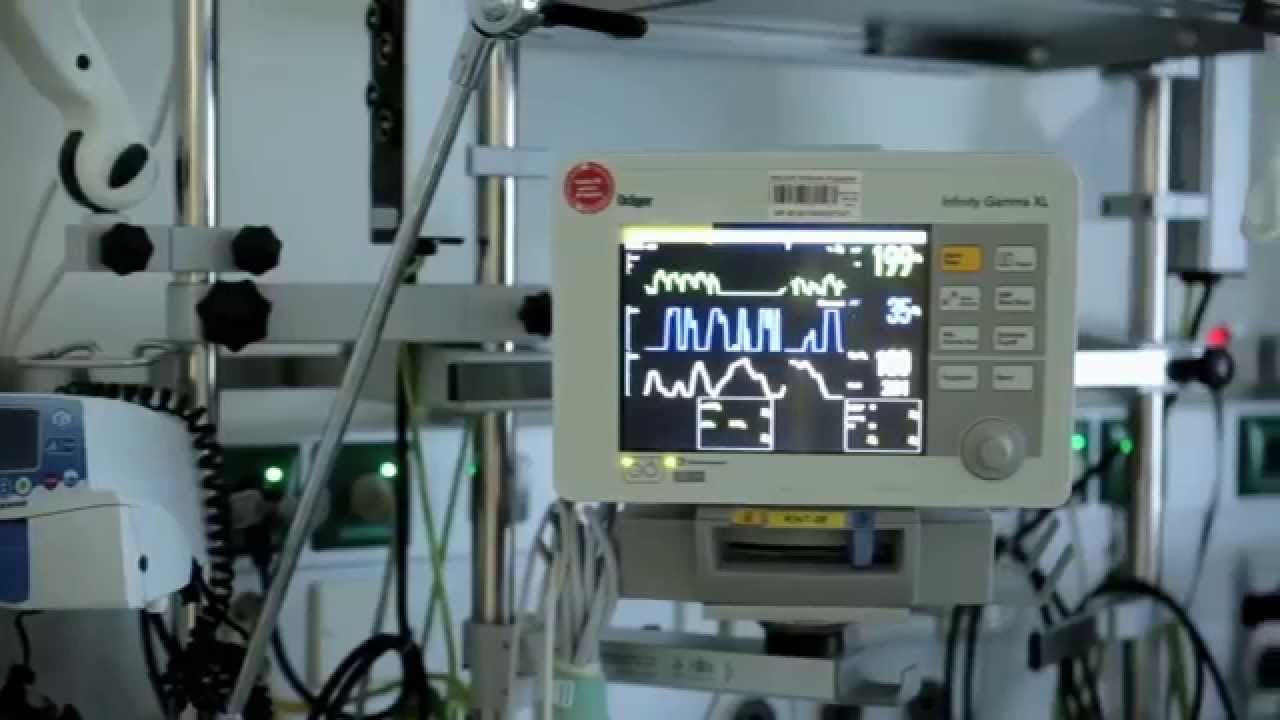 Das Ph.D.-Programm der Universität Witten/Herdecke