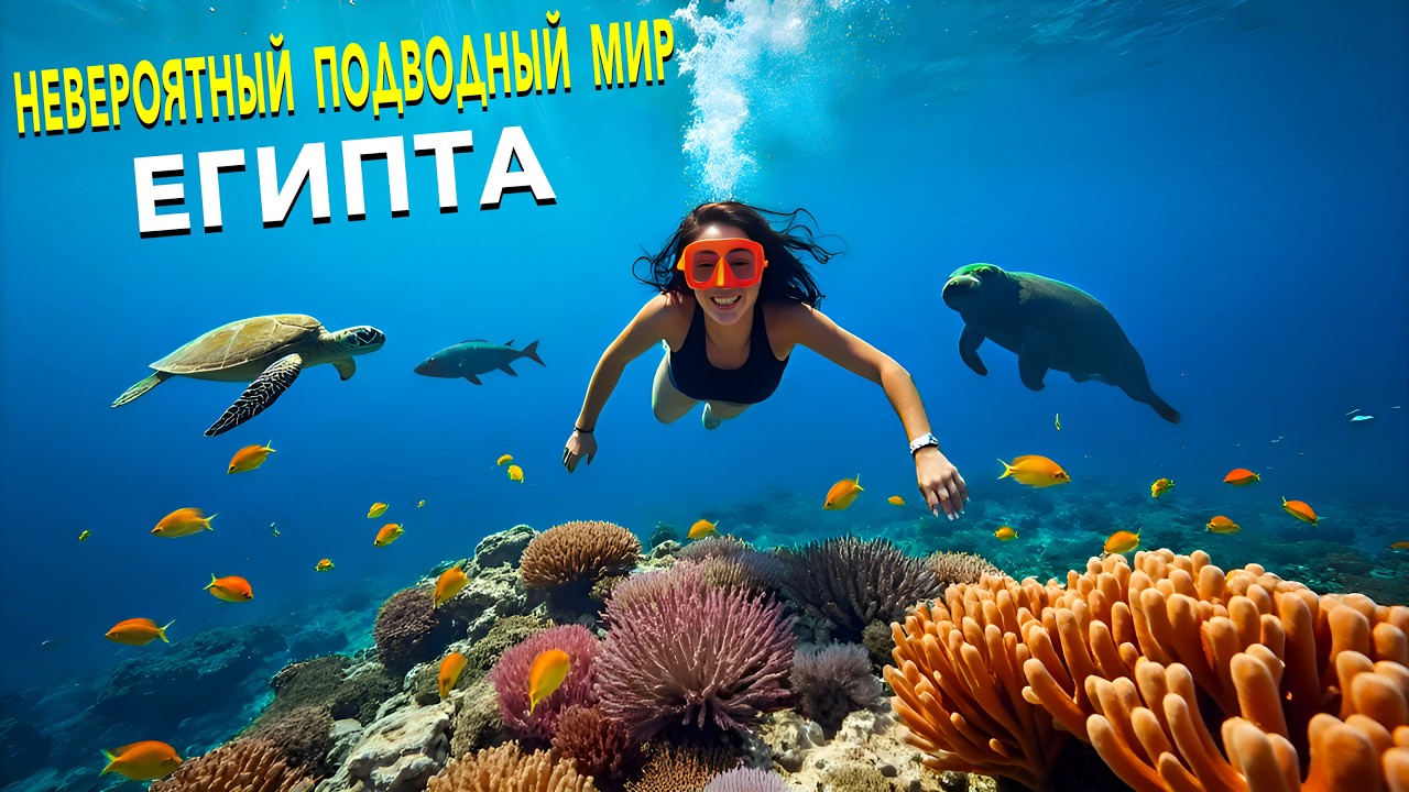 Египет 2025. ТАКОГО НИГДЕ не УВИДИШЬ❗️ ТРУХАНУЛО. Морские Коровы. Марса Мубарак. Марса Алам
