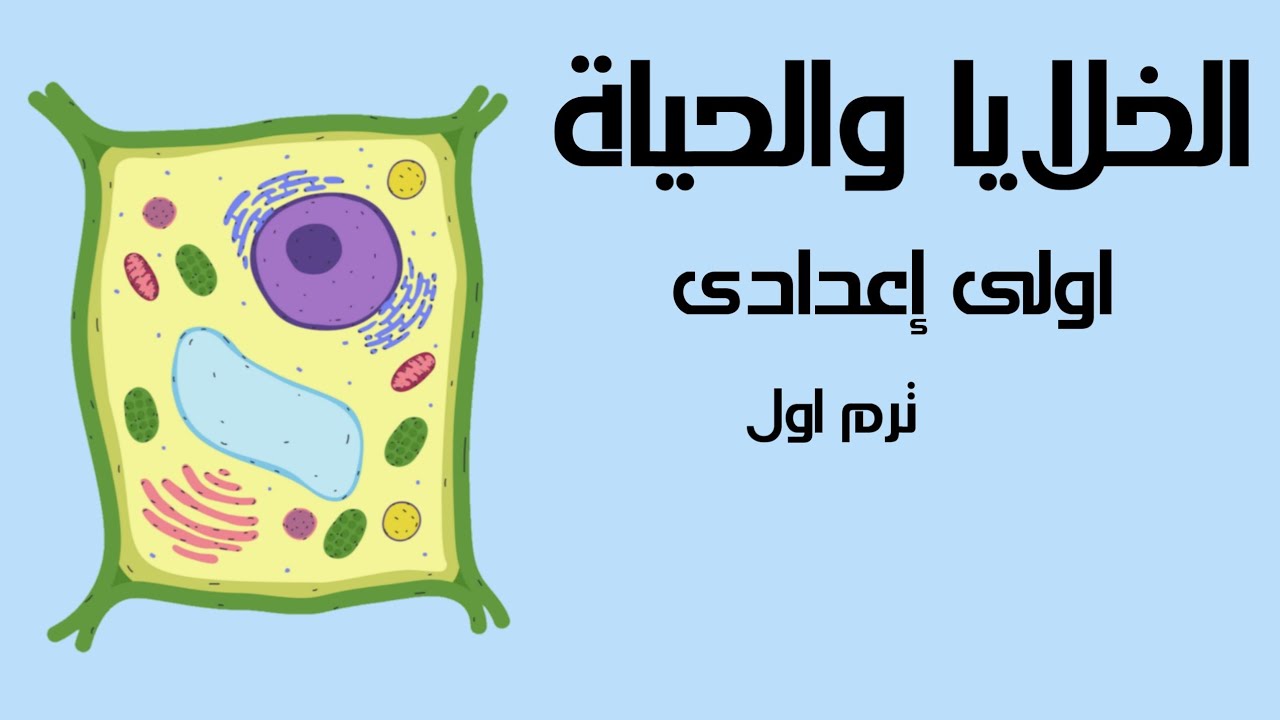 علوم الصف الأول الإعدادي ترم أول/الوحدة 3/درس اول/ الخلايا والحياة 