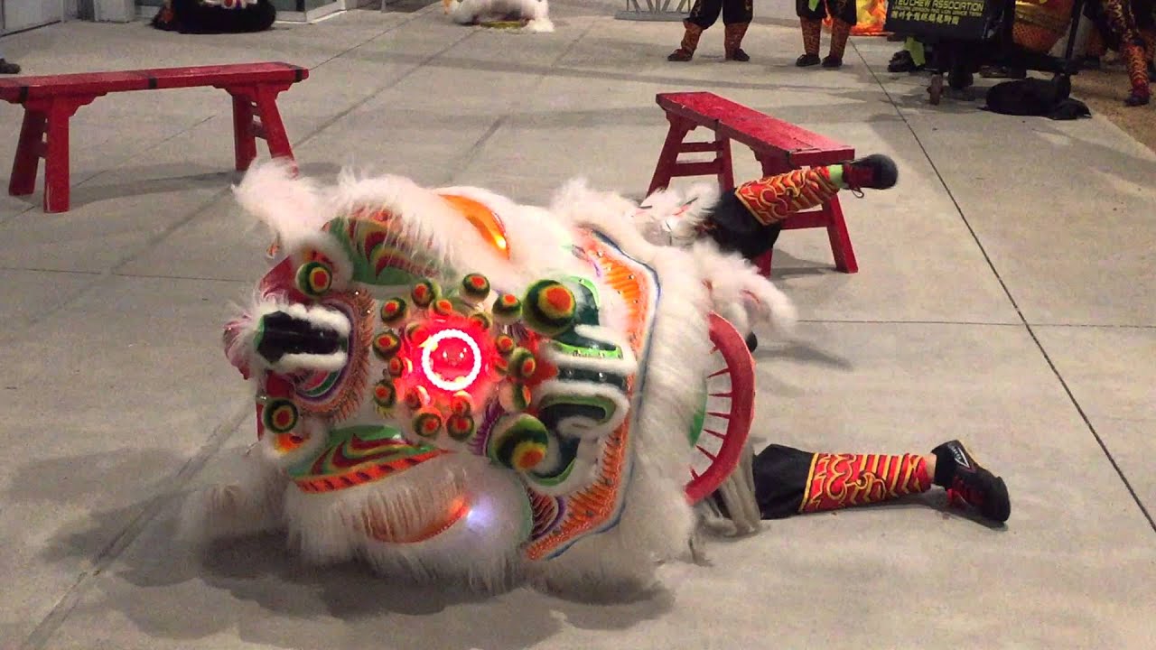 TCT - Houston Arts Alliance Part 2