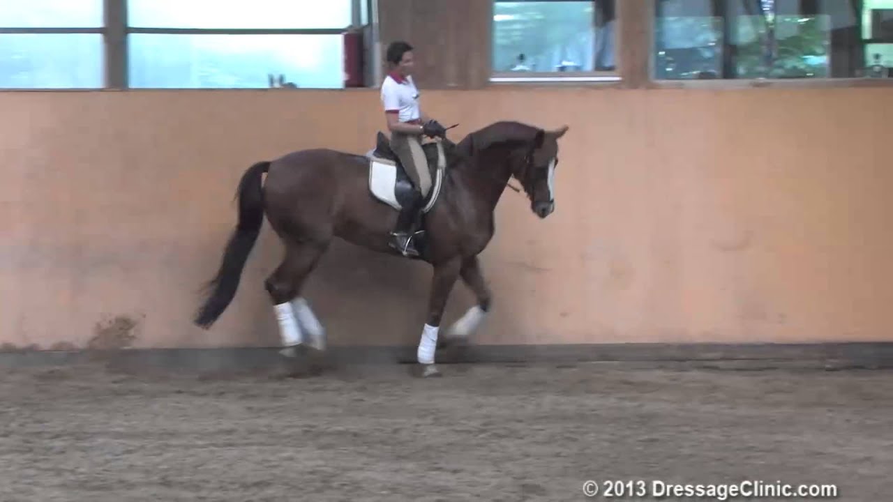 DressageClinic.com Presents Christilot Boylen Riding & Lecturing Soccer City