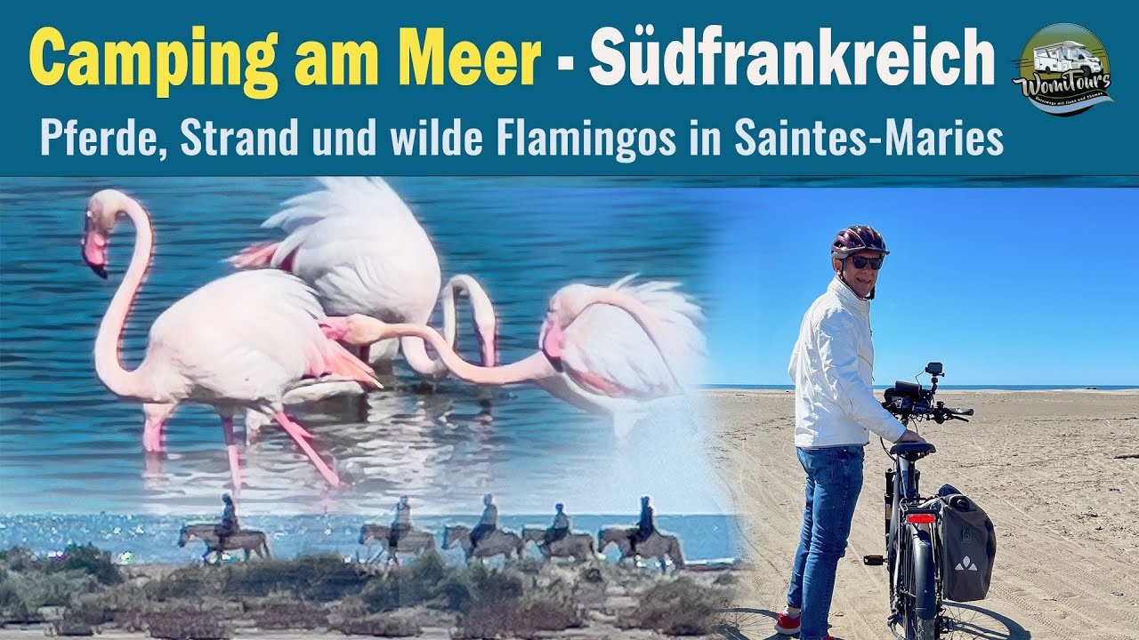 Saintes Maries de la mer - ein Muss in der Camargue - Traumhafte Natur 🦩 in Südfrankreich
