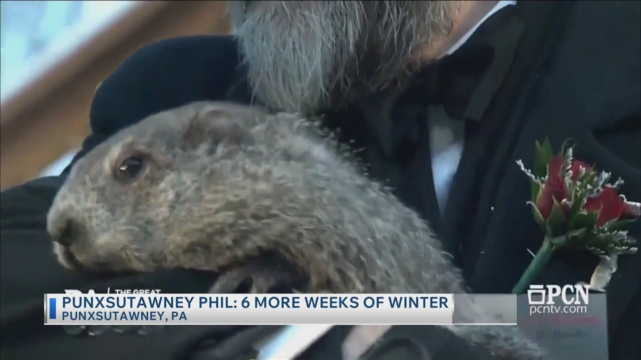 Punxsutawney Phil: 6 more weeks of winter