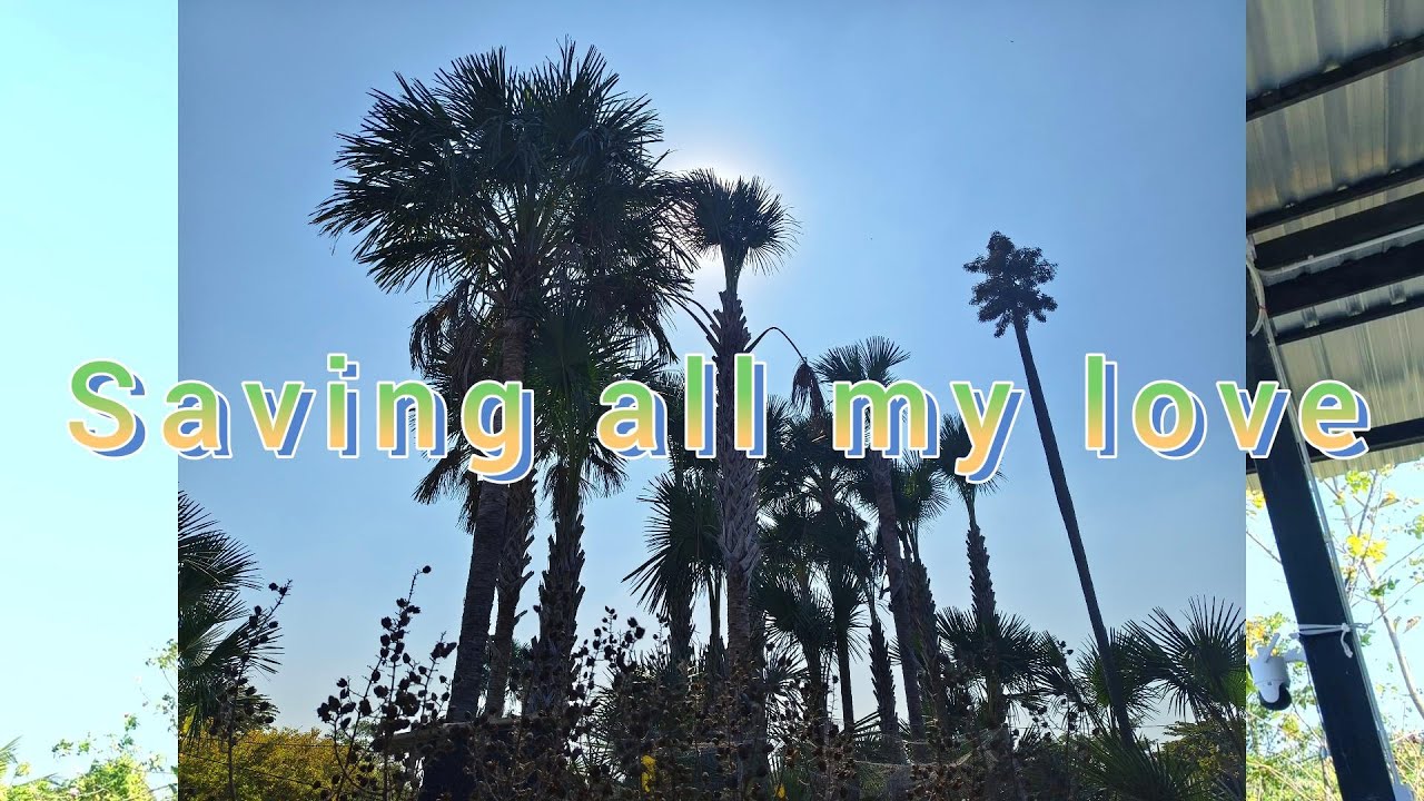 Saving all my love for you alto sax cover