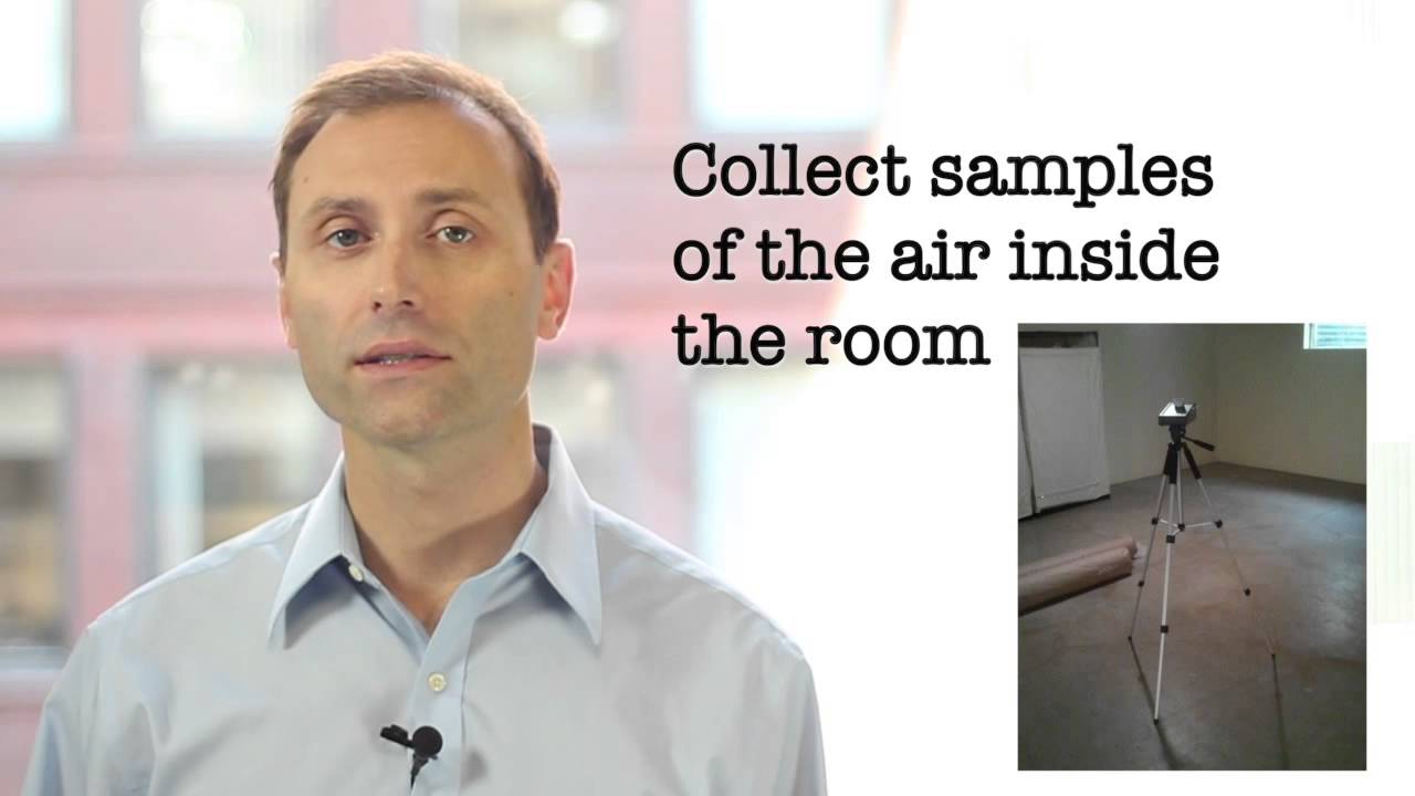 Mold in Walls, Part 3
