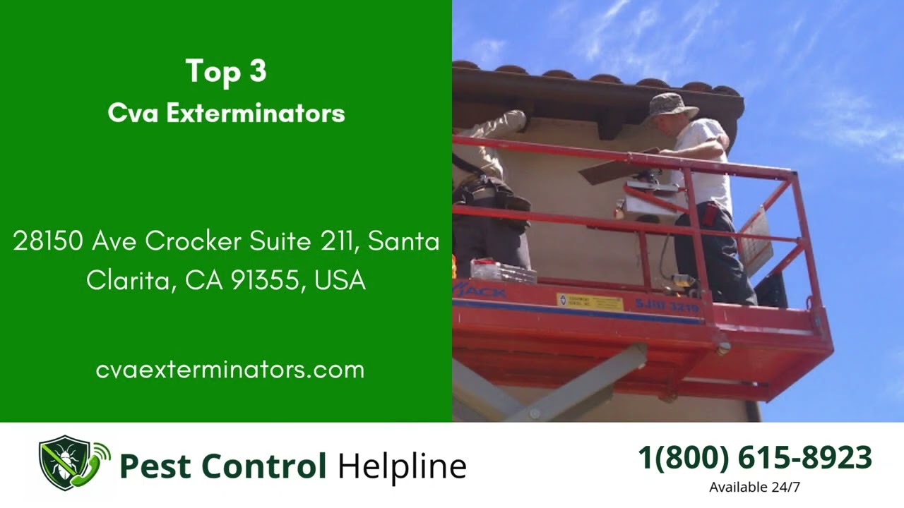 Top 3 Pest Control in Castaic