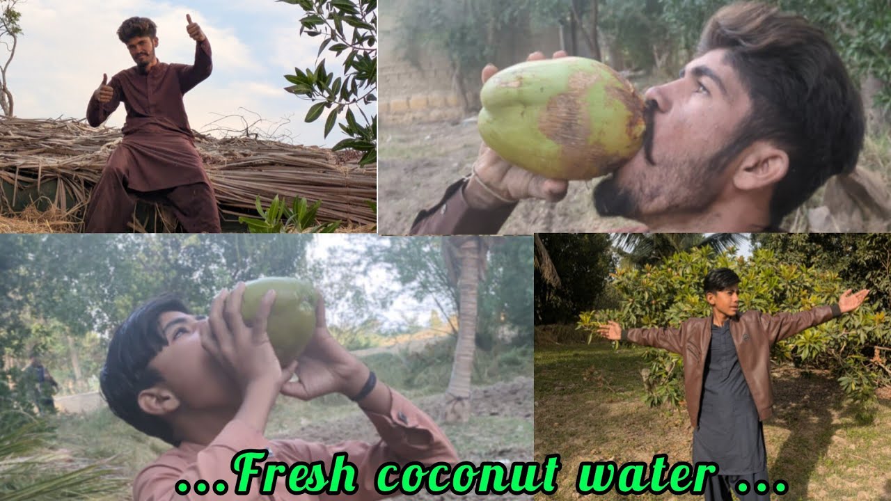 “A Day in Village Life | Fresh Coconut Moments”🥰🥥🌴