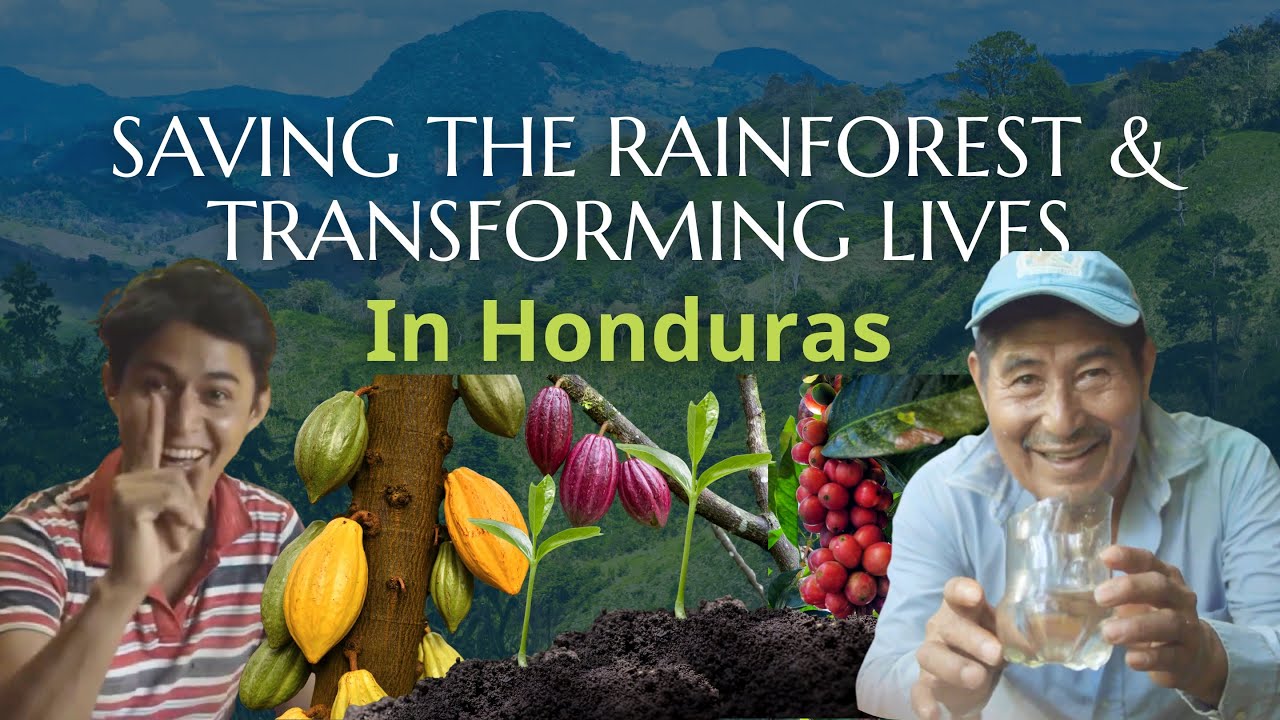 Rewilding Honduras - Restoring land, Transforming lives, Saving rainforests 👨🏽&zwj;🌾🦜🇭🇳