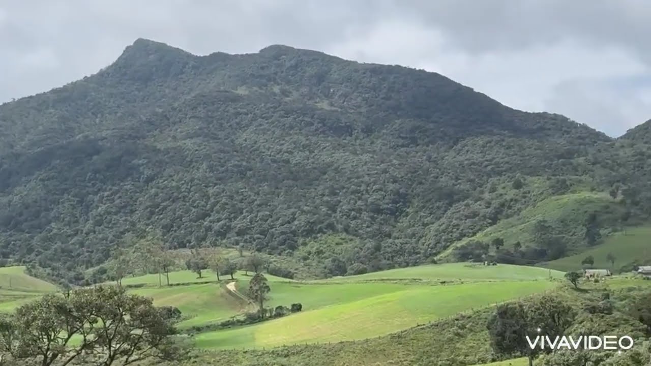 Ambewela |Train |Travel |Perfect environment 😮❤️Sri Lanka 2025