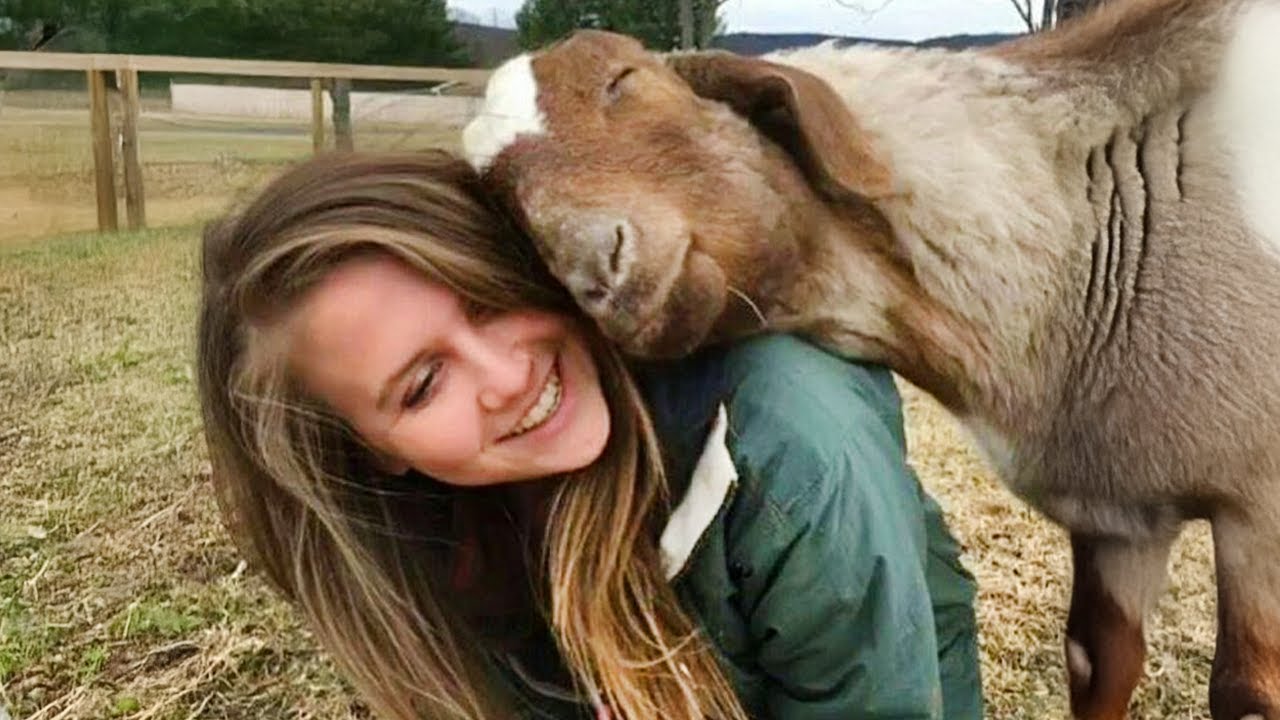 When an Animal’s Love Is Stronger Than Words 🧡