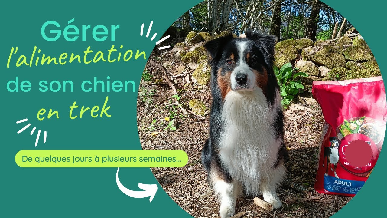 Gérer l'alimentation de son chien en trek  / randonnée en itinérance