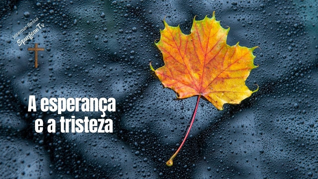 A Esperan&ccedil;a e a Tristeza | Josemar Bessa