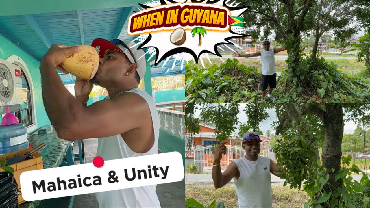 🇬🇾 GUYANA TRIP | DAY 2 | JULY 2025 | MAHAICA | UNITY | RIVERVIEW | PICKING GINEP | SHAME BABY | #fun