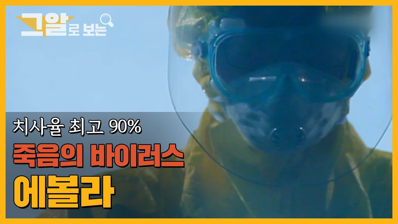 끊이지 않는 신종 바이러스의 습격! 공포는 어디에서 오는가 | 그알로 보는 '신종 바이러스'
