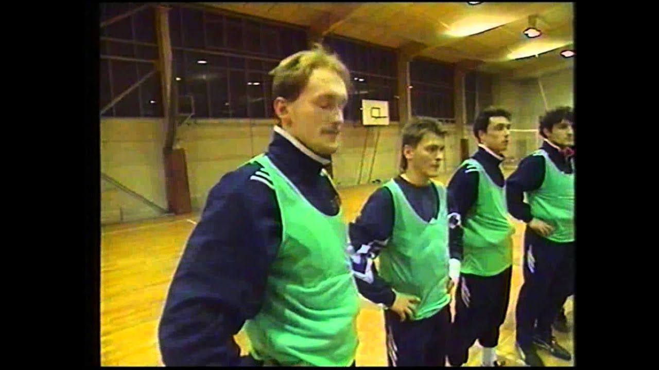 FC Erzgebirge Aue Oberliga Nordost Süd 1993/1994