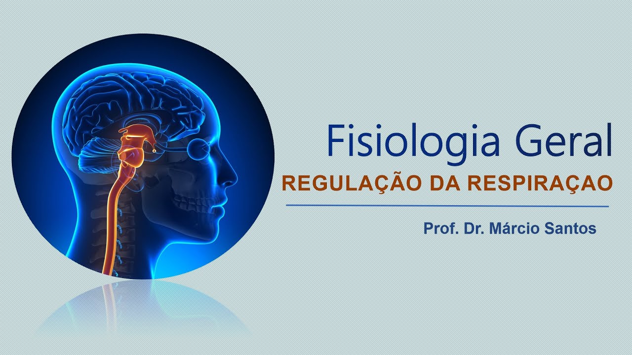 MÓDULO 3 - Aula 13: Regulação da Respiração - Prof. Márcio Santos