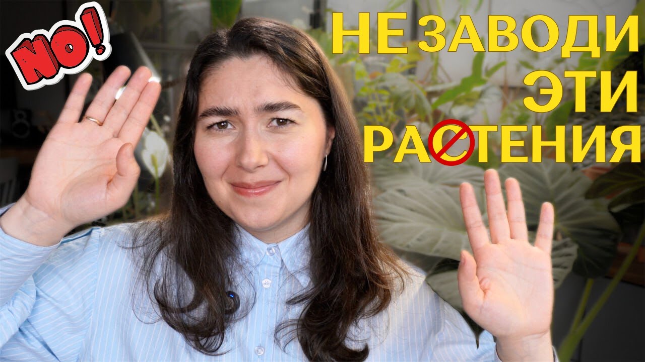 САМЫЕ невыносимые и КАПРИЗНЫЕ РАСТЕНИЯ по мнению МОИХ ПОДПИСЧИКОВ 🪴